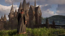 Hogwarts Legacy para PS5 - Mídia Física